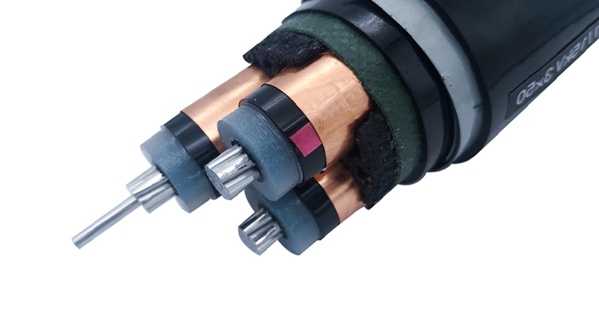 1-211019152F9295.jpg 1-211019152F9295.jpg